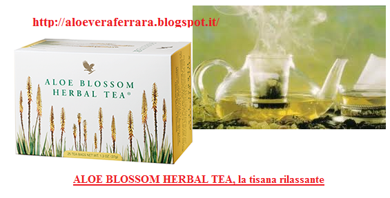 ALOE BLOSSOM HERBAL TEA