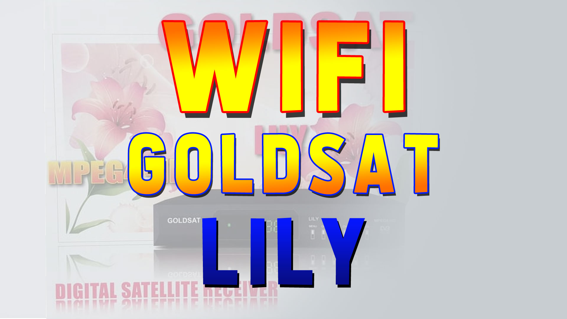 Pengaturan Wifi Receiver Goldsat Lily HD