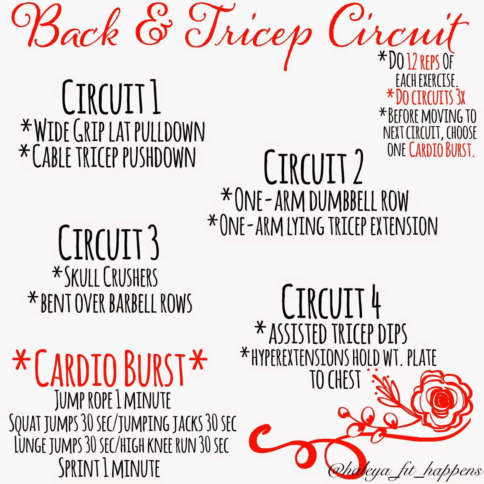 Fit Happens: Back & Tricep Circuit