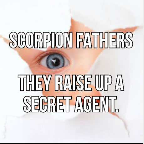 Scorpions raise up the fabulous secret agents.