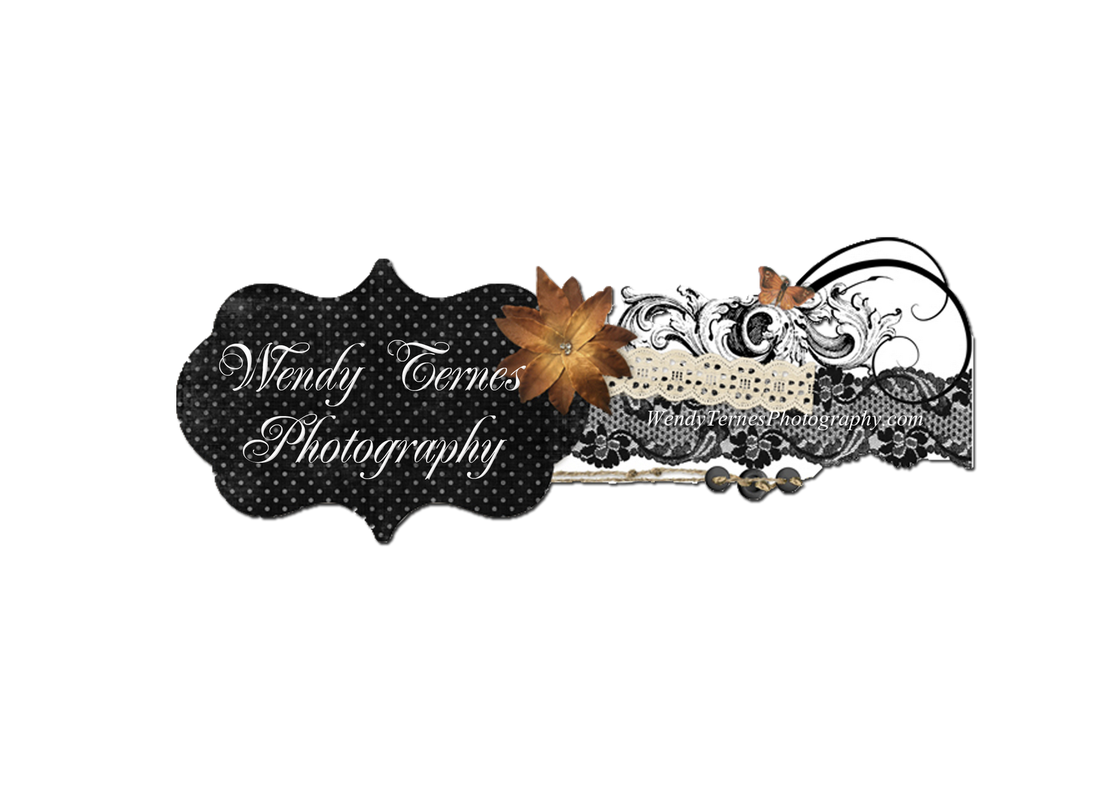 Wendy Ternes Photography