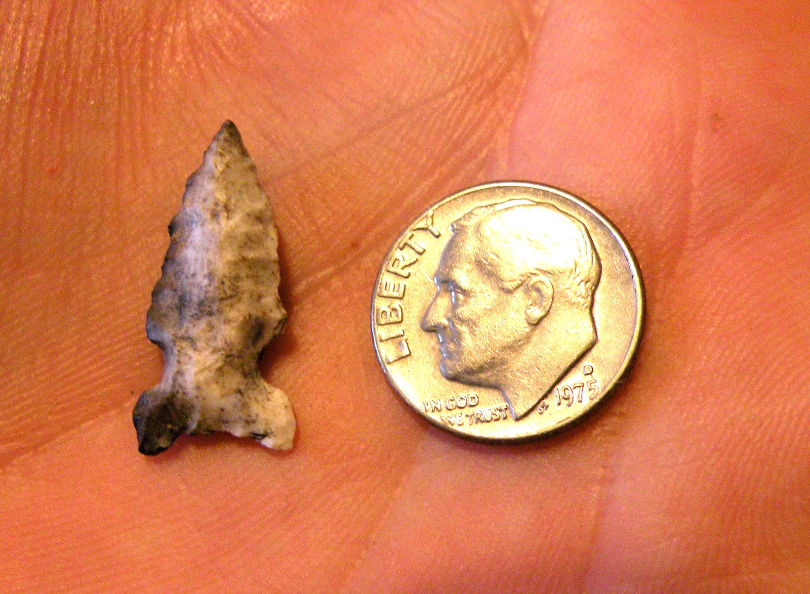 flux biota. Artifacts, Iowa. Bird Point.