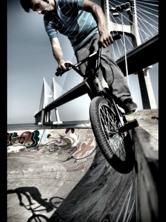 cultura BMX: BMX