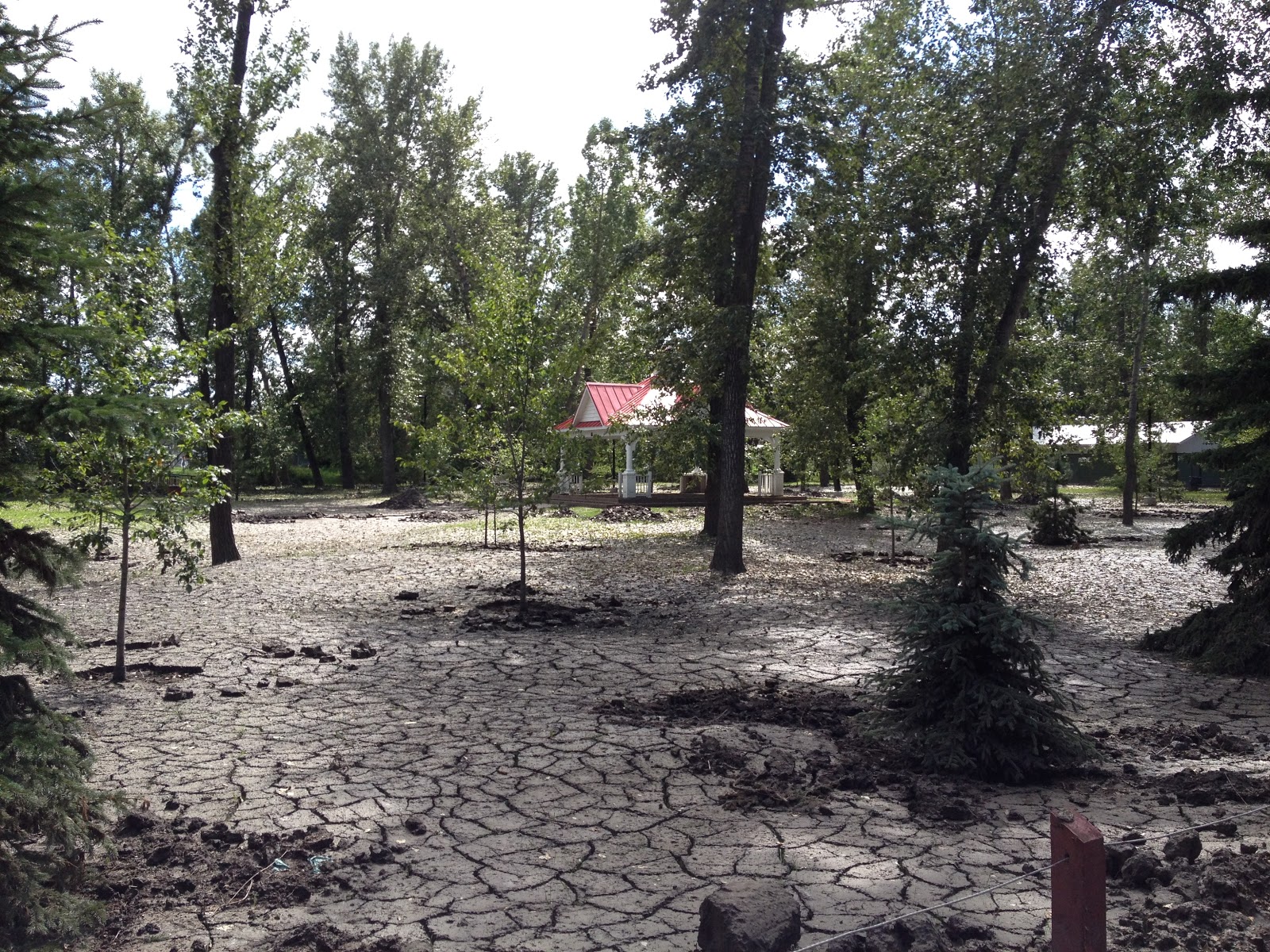 What I saw High River Alberta Canada