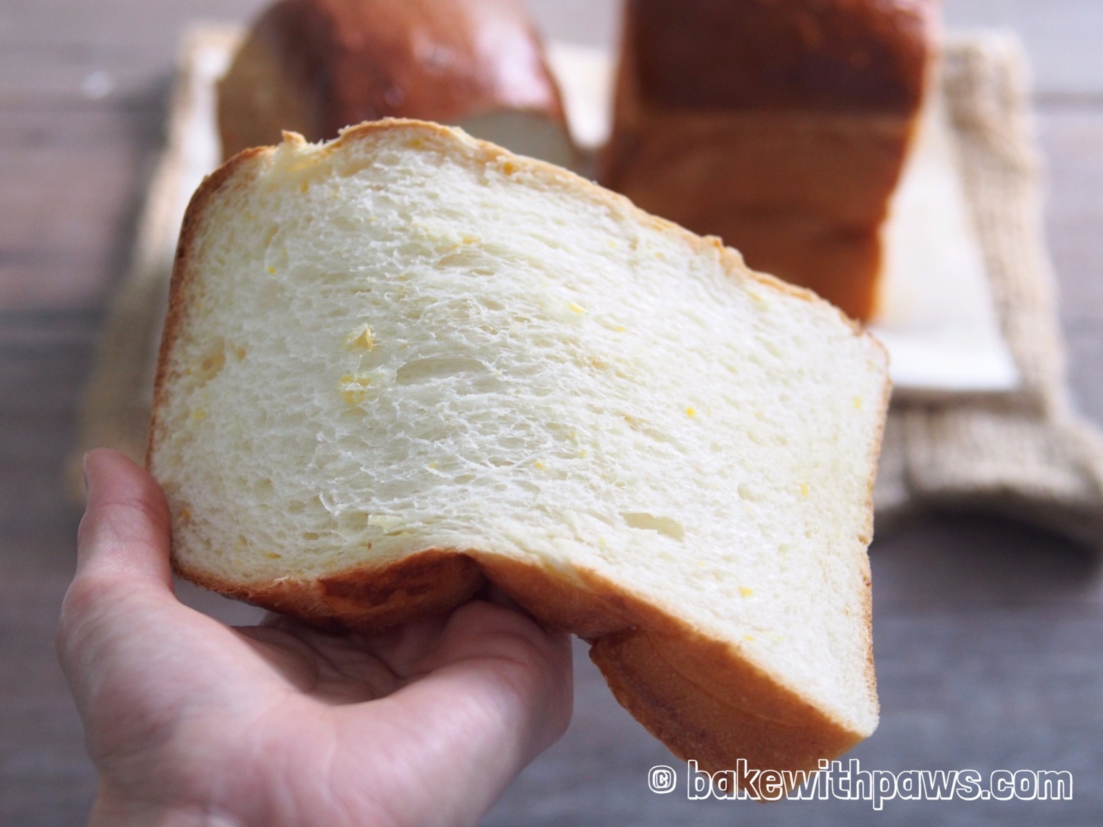 Creamed Sweet Corn Bread BAKE WITH PAWS