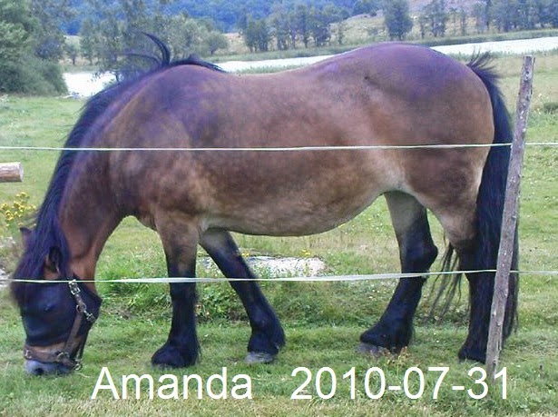 Amanda