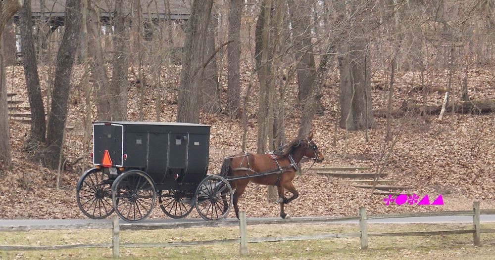 Class A Customs Warrendale, PA Mail Sorting Facility