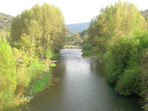 Toreno (Río Sil)