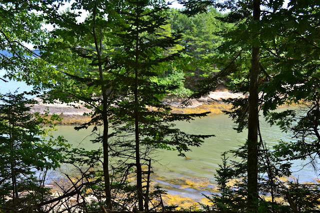 Freeport, Maine Coastline