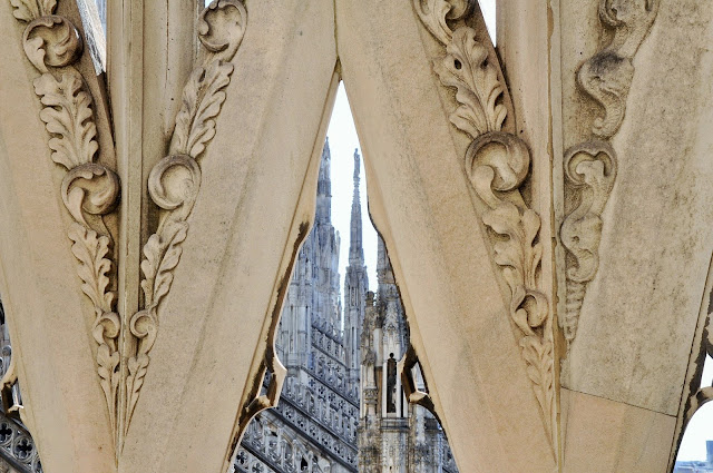 _DSC0561%2B%25282%2529.JPG