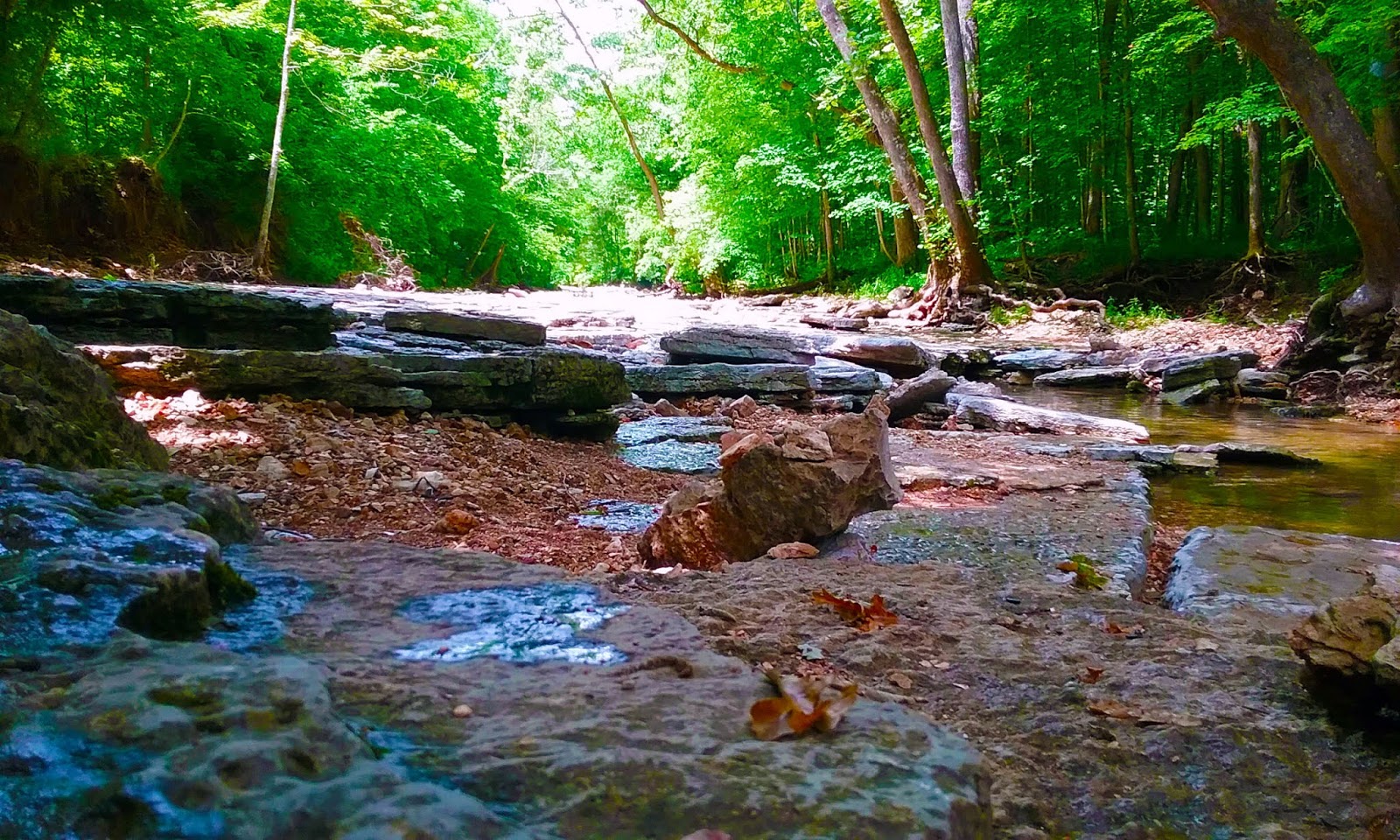 Lost Creek, Warrenton,MO