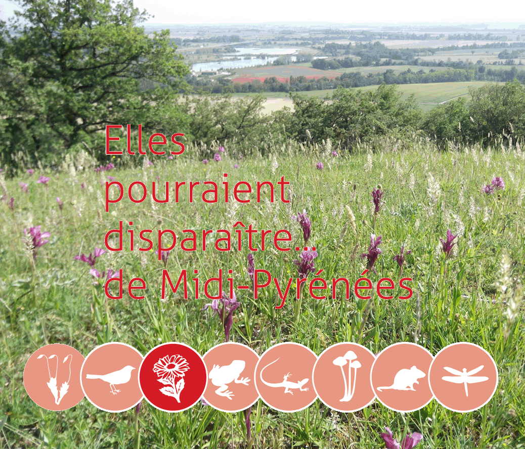 Conservatoire botanique national des Pyrénées et de MidiPyrénées Les