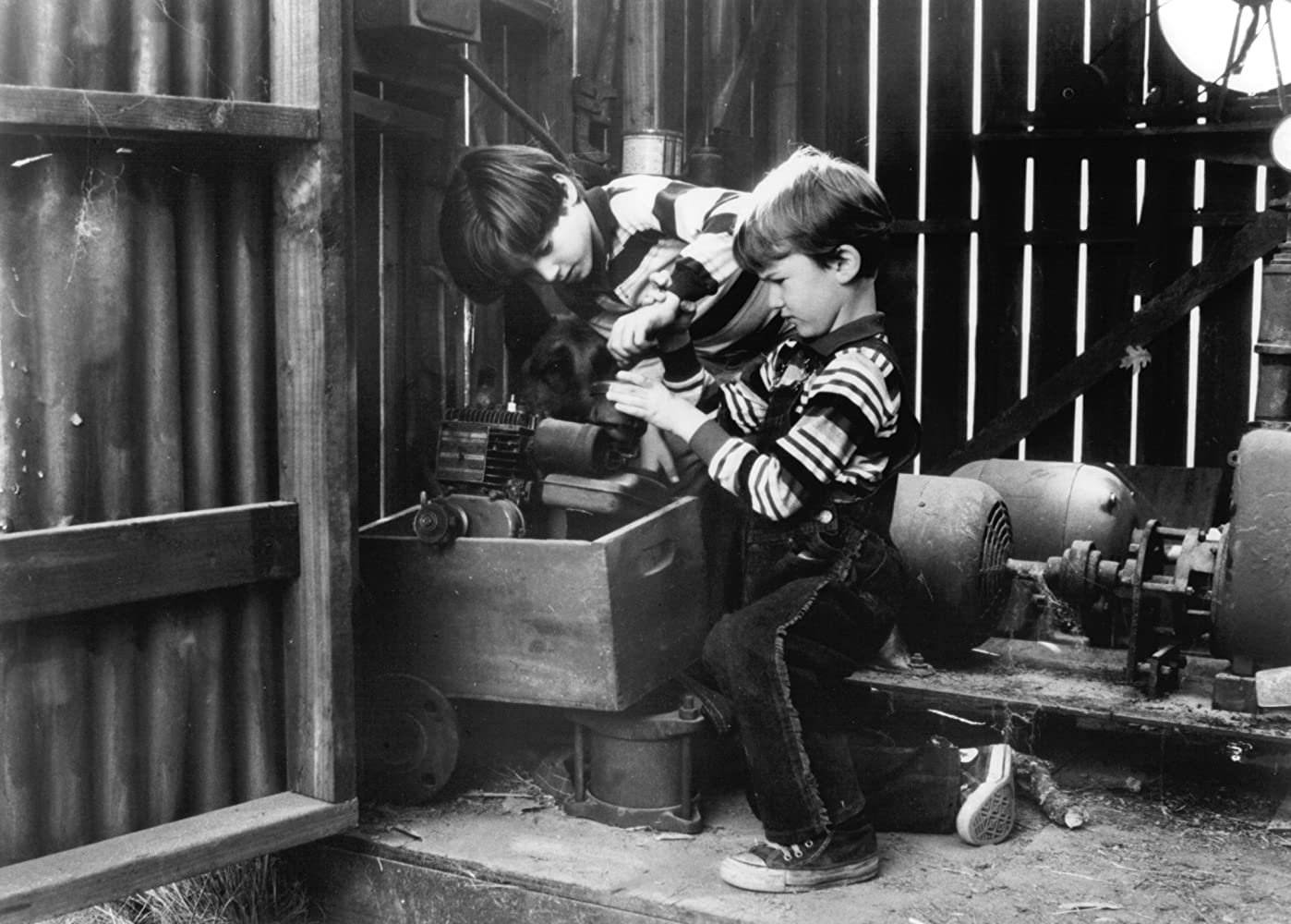 New on Bluray RADIO FLYER (1992) Starring Elijah Wood and Lorraine