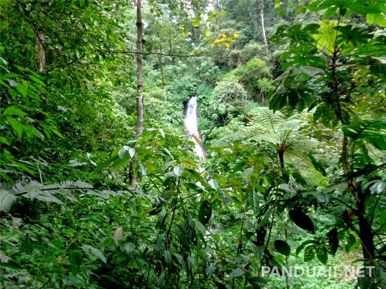 mengintip air terjun mengintip air terjun