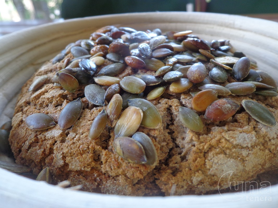 pane tartaruga con mix di farine e semi di zucca