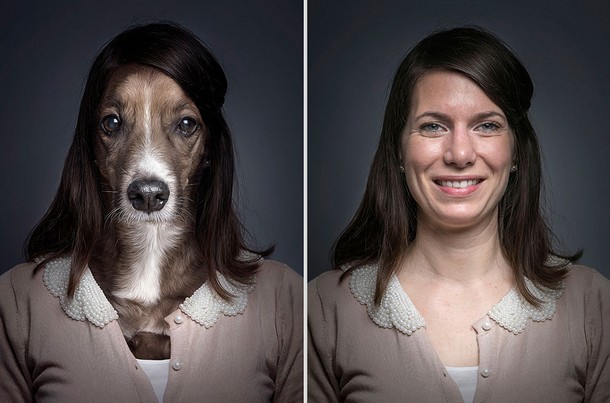 funny dog portraits