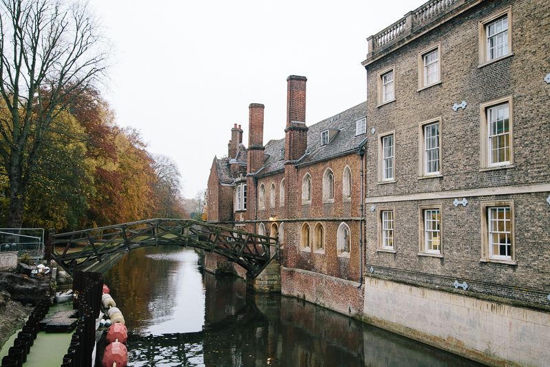 cambridge university autumn leaves