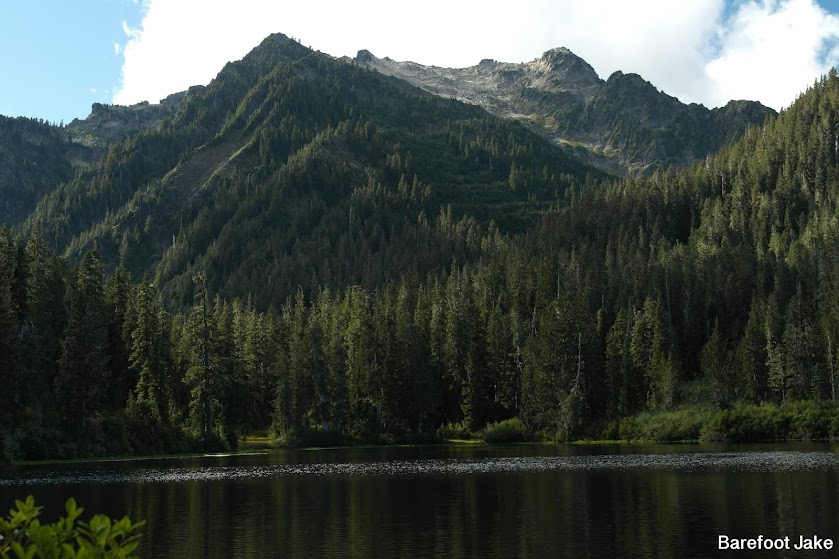 mount seattle olympic