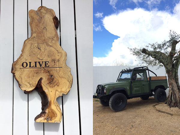Olive Residence and Suites, o lugar bonito