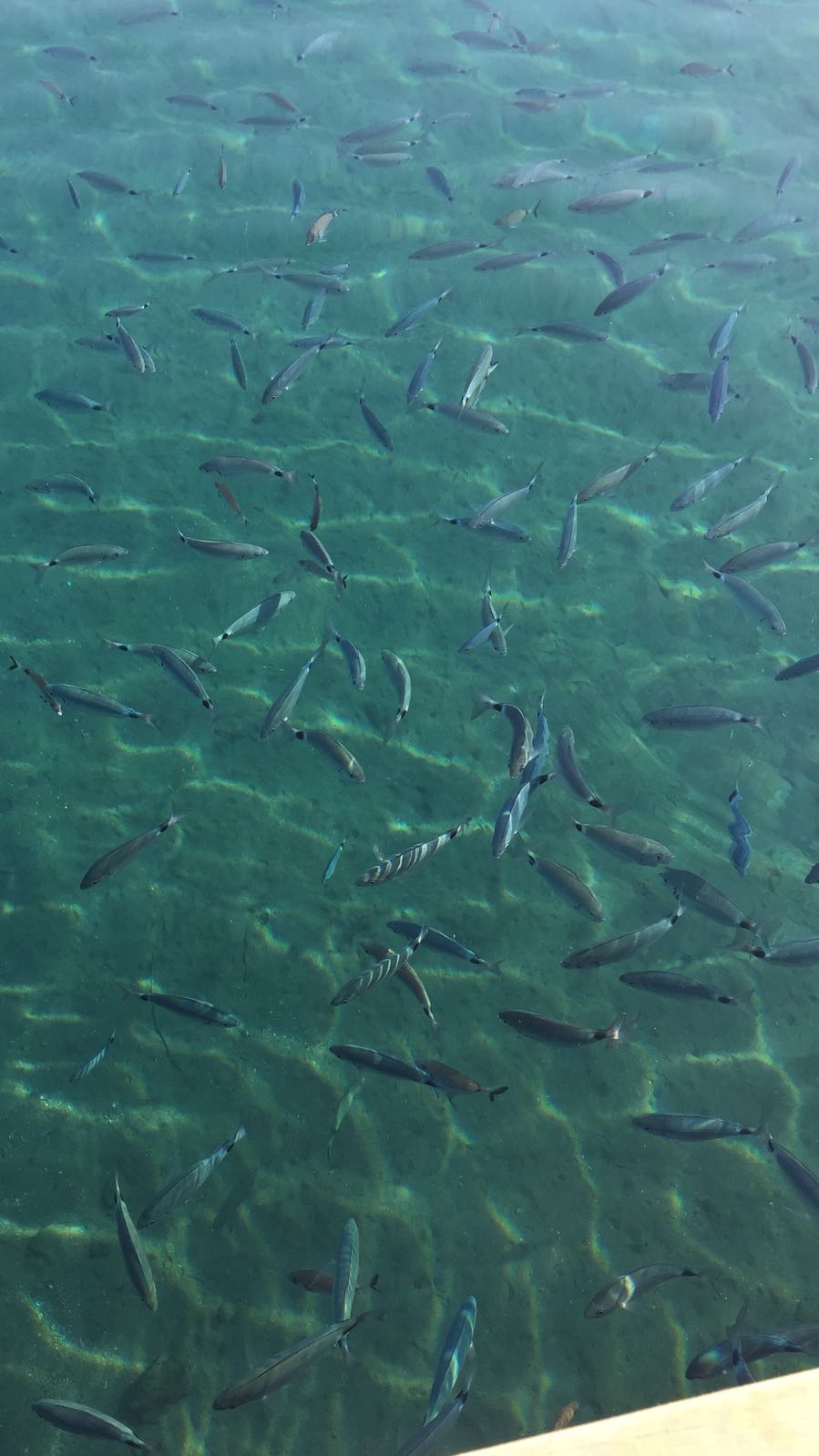 Voyage Turkbuku Etstur Com