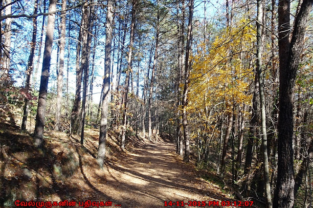 Tallulah Gorge State Park Hiking 