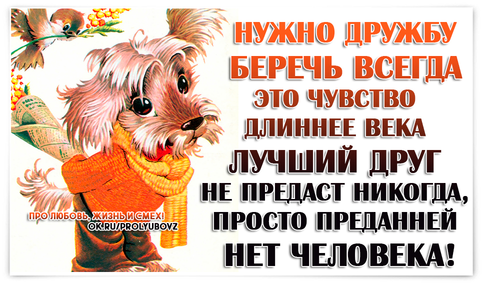 Берегите дружбу