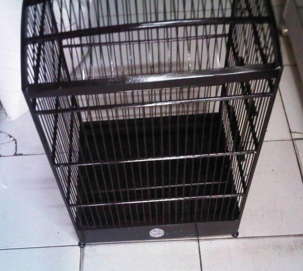 Kandang Burung Kacer Ebod Tentang Kolam Kandang Ternak