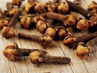 Hal Yang Harus Diperhatikan Saat Budidaya Tanaman Cengkeh Dalam Polybag