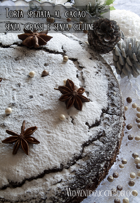 torta speziata al cacao senza grassi e senza glutine