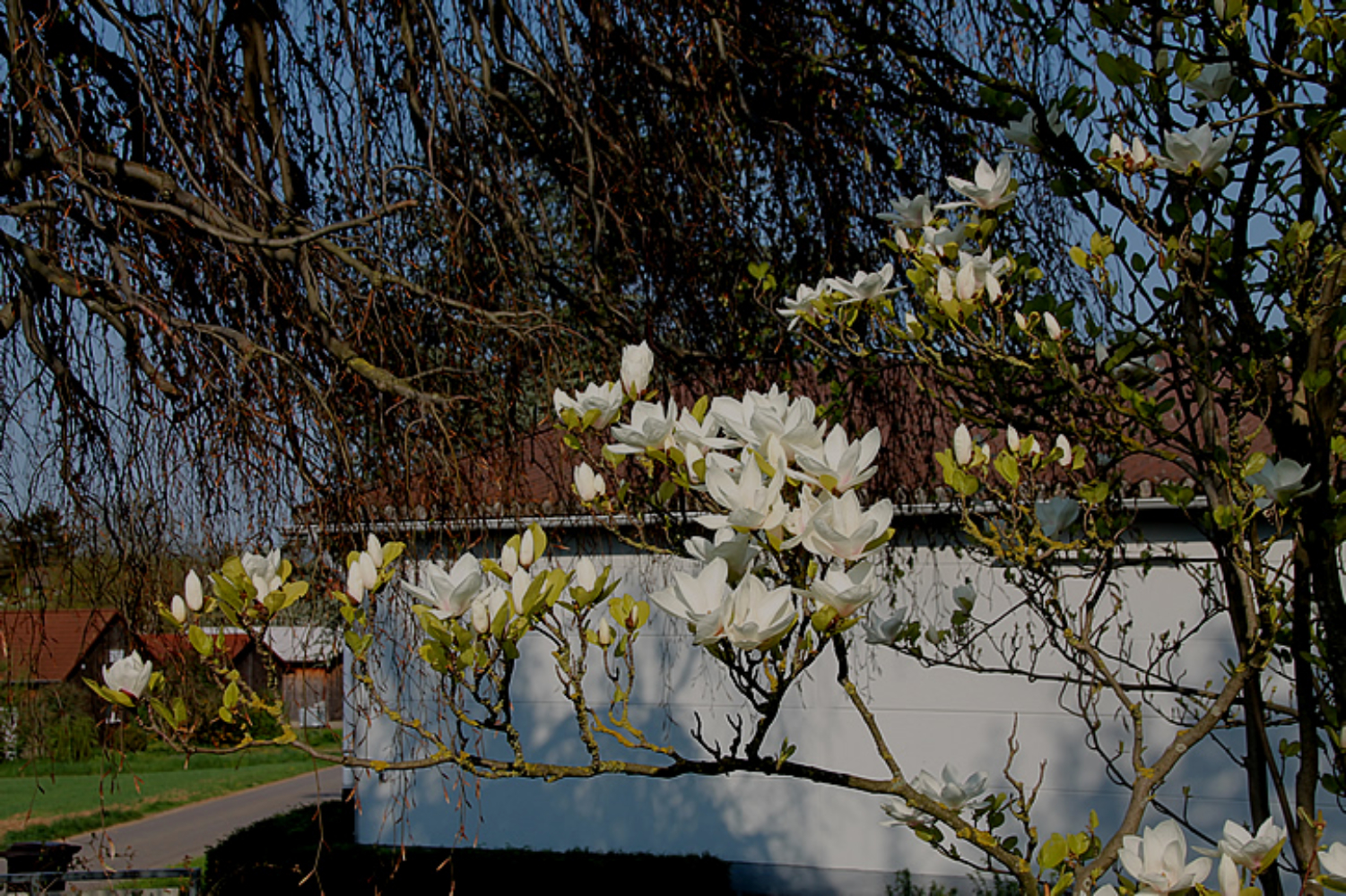 Radtour Auf Dem Fachwerk Bzw Glemsmuhlenweg