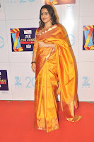 Vidya, Balan, and, Sridevi, at, Zee, Cine, Awards, 2013, desi indian hindi, saree, girl