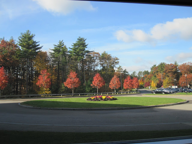 Herbstliebe - BIWYFI