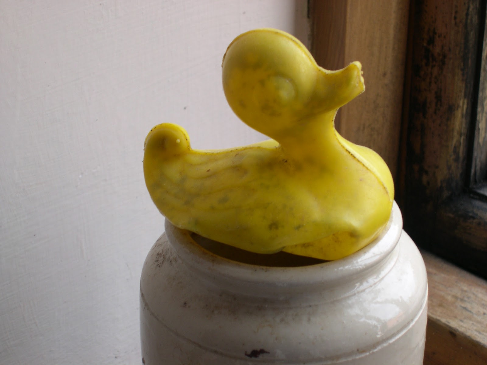 Debatable Land Stories Of Life In A Grey Area Nice Weather For Ducks