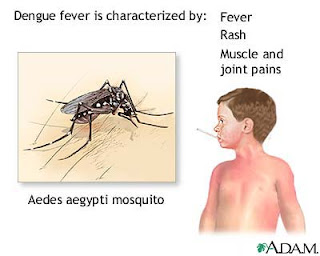 Hemorrhagic fever