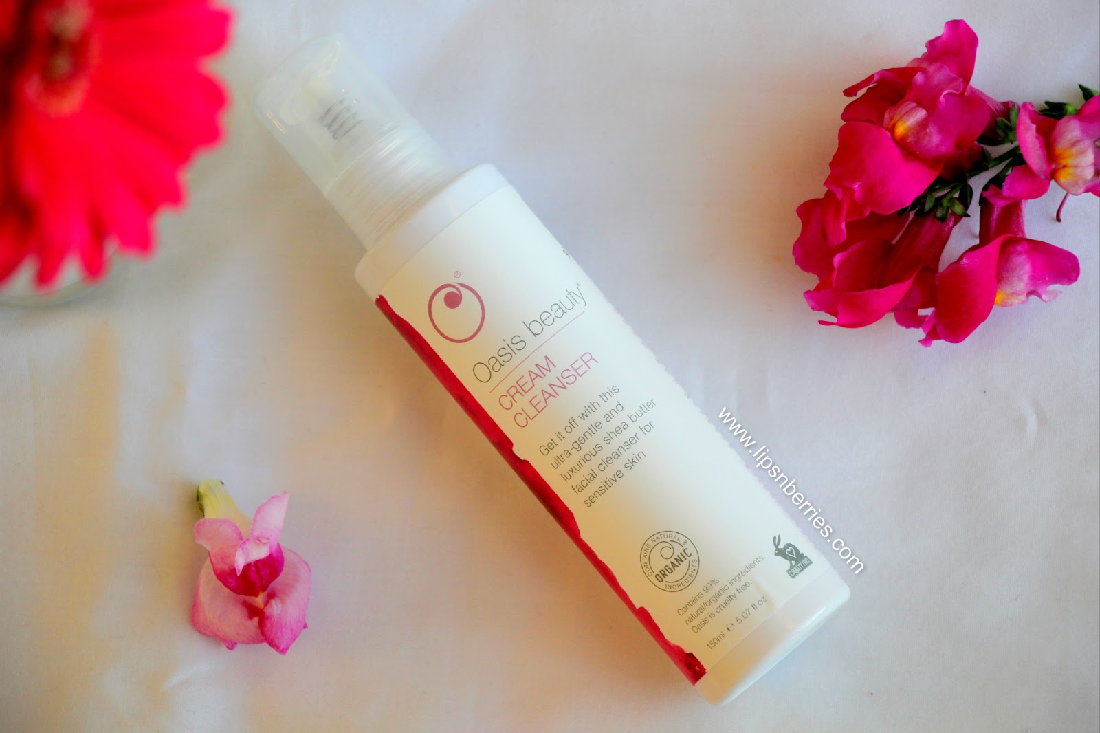 Oasis Beauty Cream Cleanser Review! LIPS n BERRIES