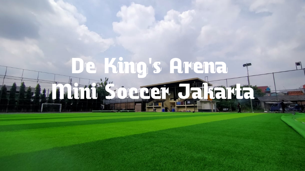 The arena mini soccer