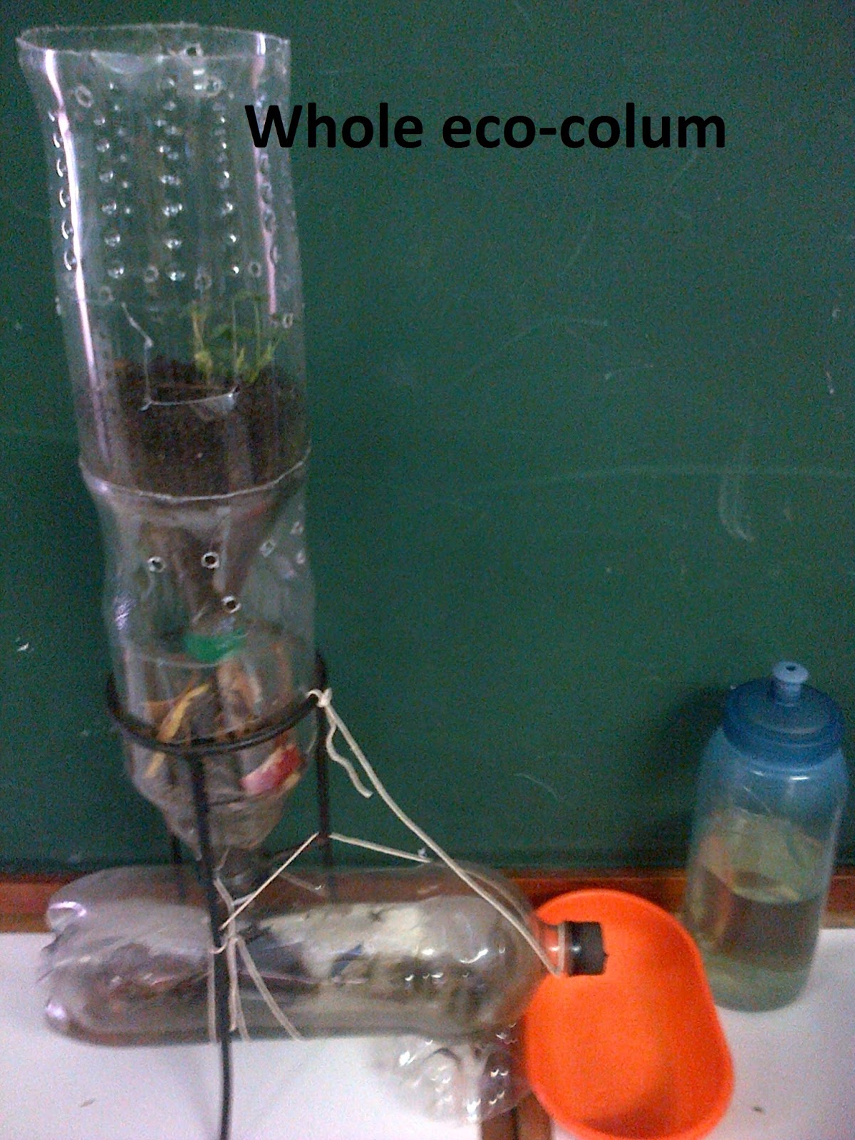 ECO (np,tk,as) COLUMN February 2013