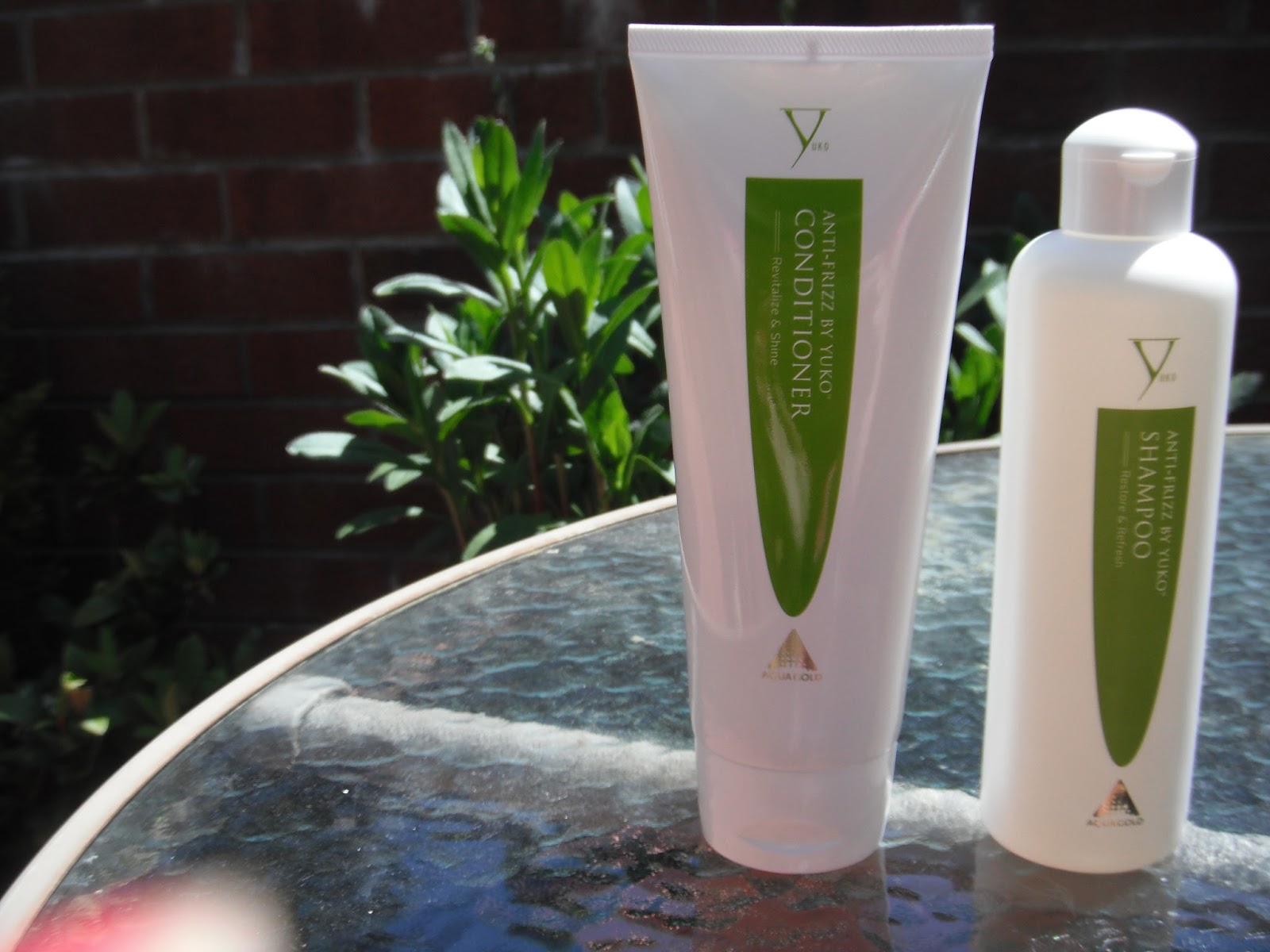 Been There, Done That, Got The Lipstick.. Review YUKO AntiFrizz