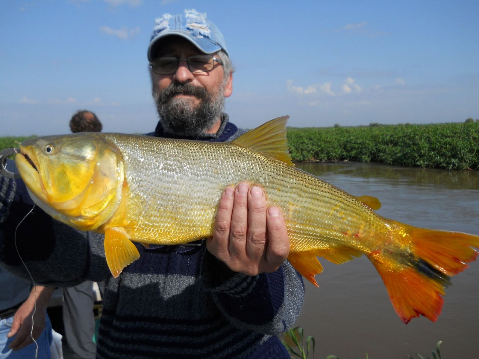 Ilusión de Pescar: Pique y estado del Río Parana 22/5/2011