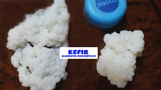 Kefir de leite após algumas semanas