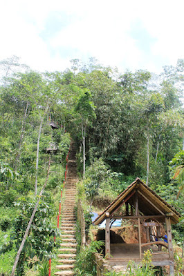 Kebun Teh Nglinggo Kebun Teh Nglinggo