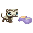 Littlest Pet Shop Singles Ferret (#1054) Pet