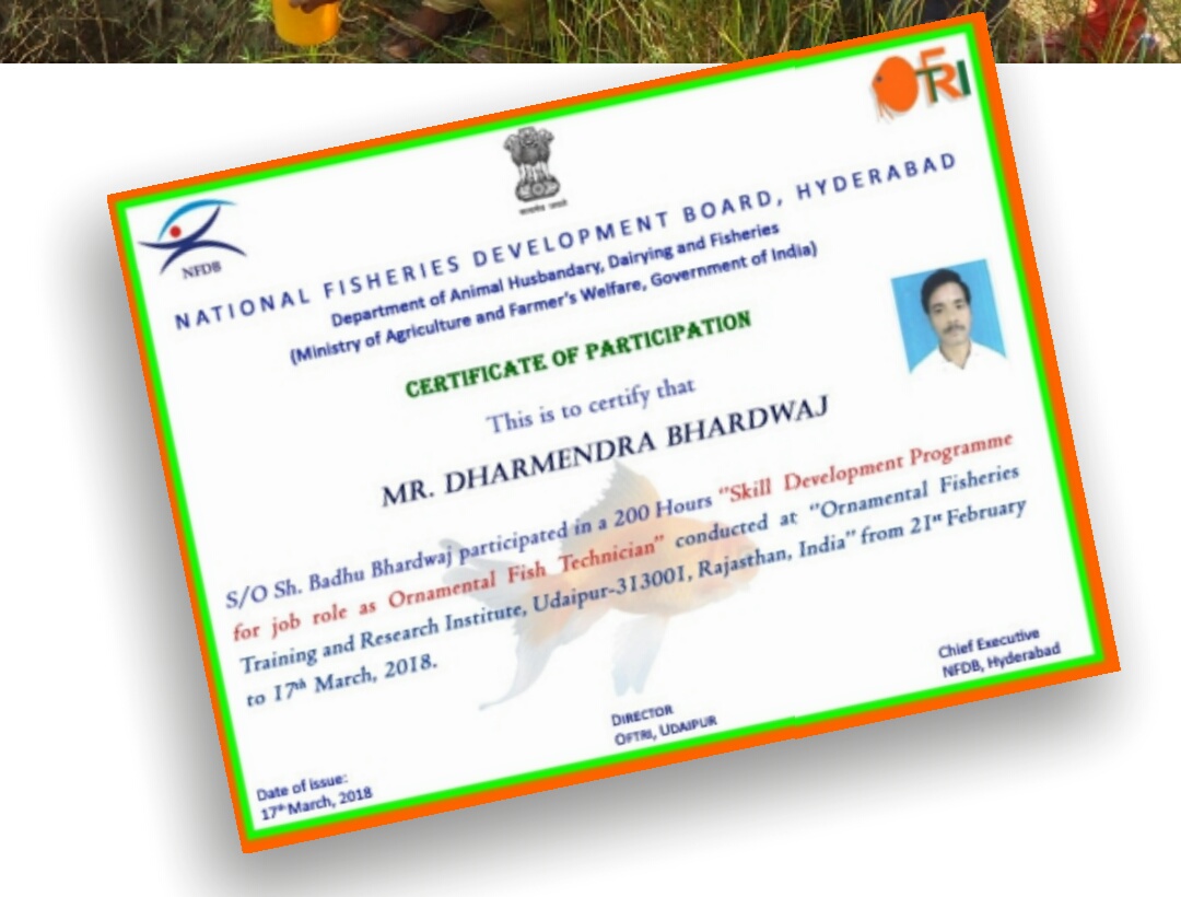 Ornamental Fish Technician Training 2019 Goat Farming