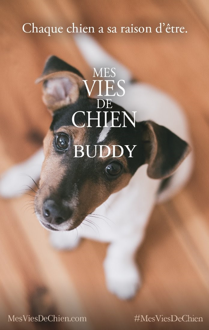 Epixod Le Blog: MES VIES DE CHIEN