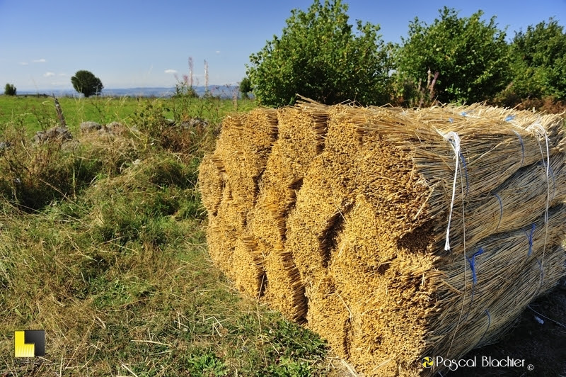 chaume de couverture photo Pascal Blachier