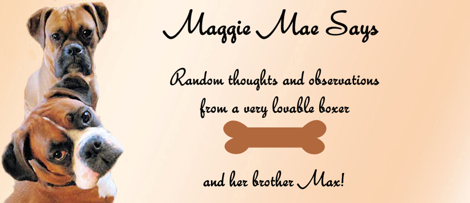 Maggie Mae Says