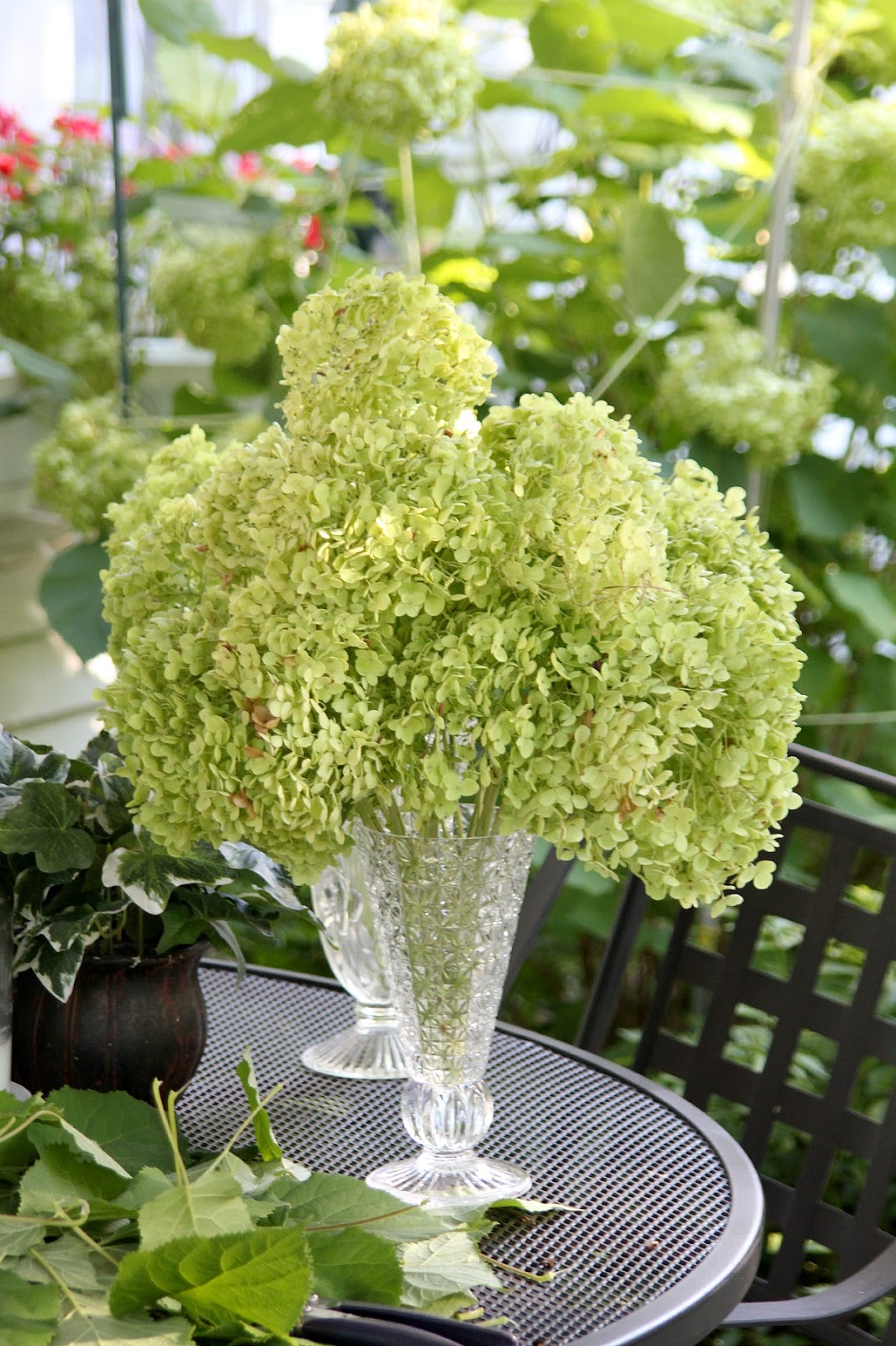 A Handmade Cottage How To Dry Hydrangea Flowers