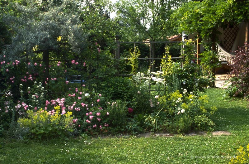 Gartenblog GeniesserGarten Sichtschutz