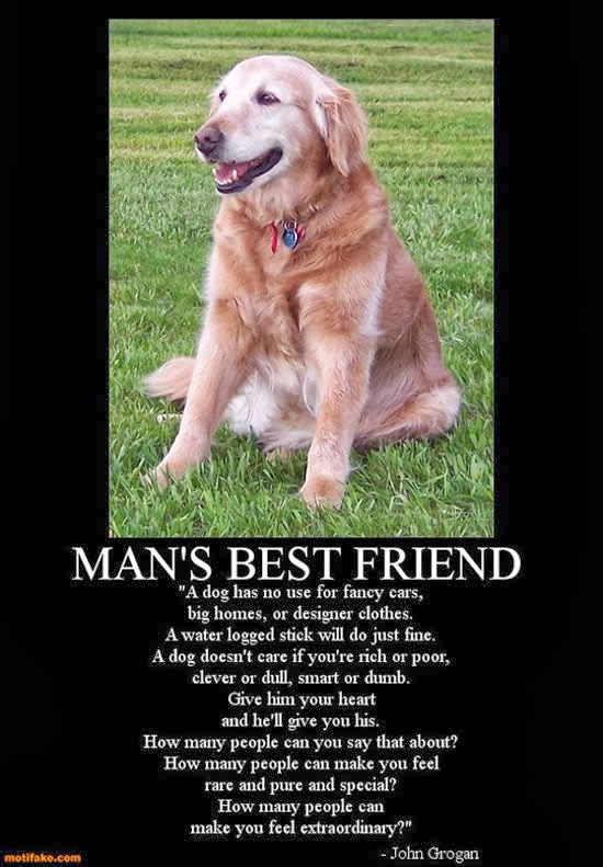 Quotes About Dogs Dying QuotesGram quotes-about-dogs-dying-quotesgram
