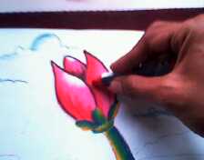 Bunga Tulip Merah Pink Putih